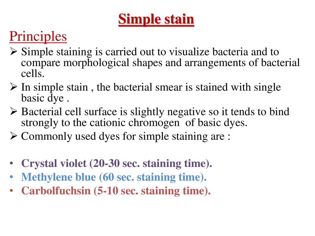 What is the purpose deals of a simple stain